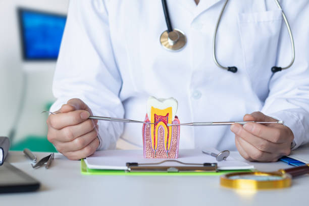 Best Emergency Care for Gum Disease in Johnston City, IL